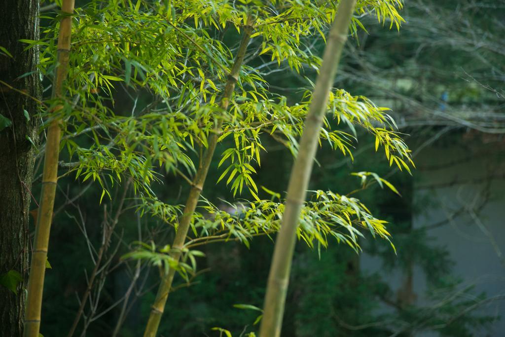Kinosato Yamanoyu Kokonoe Exterior foto